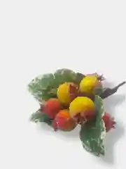 Ягоды на ветке сахарные, искусственные, шишки, на проволоке, новогодний декор, для поделок