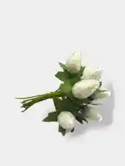 Белый ягоды на ветке сахарные, искусственные, шишки, на проволоке, новогодний декор, для поделок