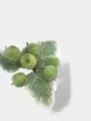 Лайм ягоды на ветке сахарные, искусственные, шишки, на проволоке, новогодний декор, для поделок