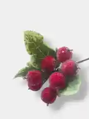 Фуксия ягоды на ветке сахарные, искусственные, шишки, на проволоке, новогодний декор, для поделок