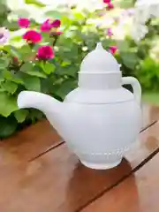 Белый лейка для цветов, растений, полив, кувшин, кумган