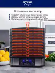 Черный сушилка для овощей и фруктов STINGRAY ST-FD701A электронный контроль температур