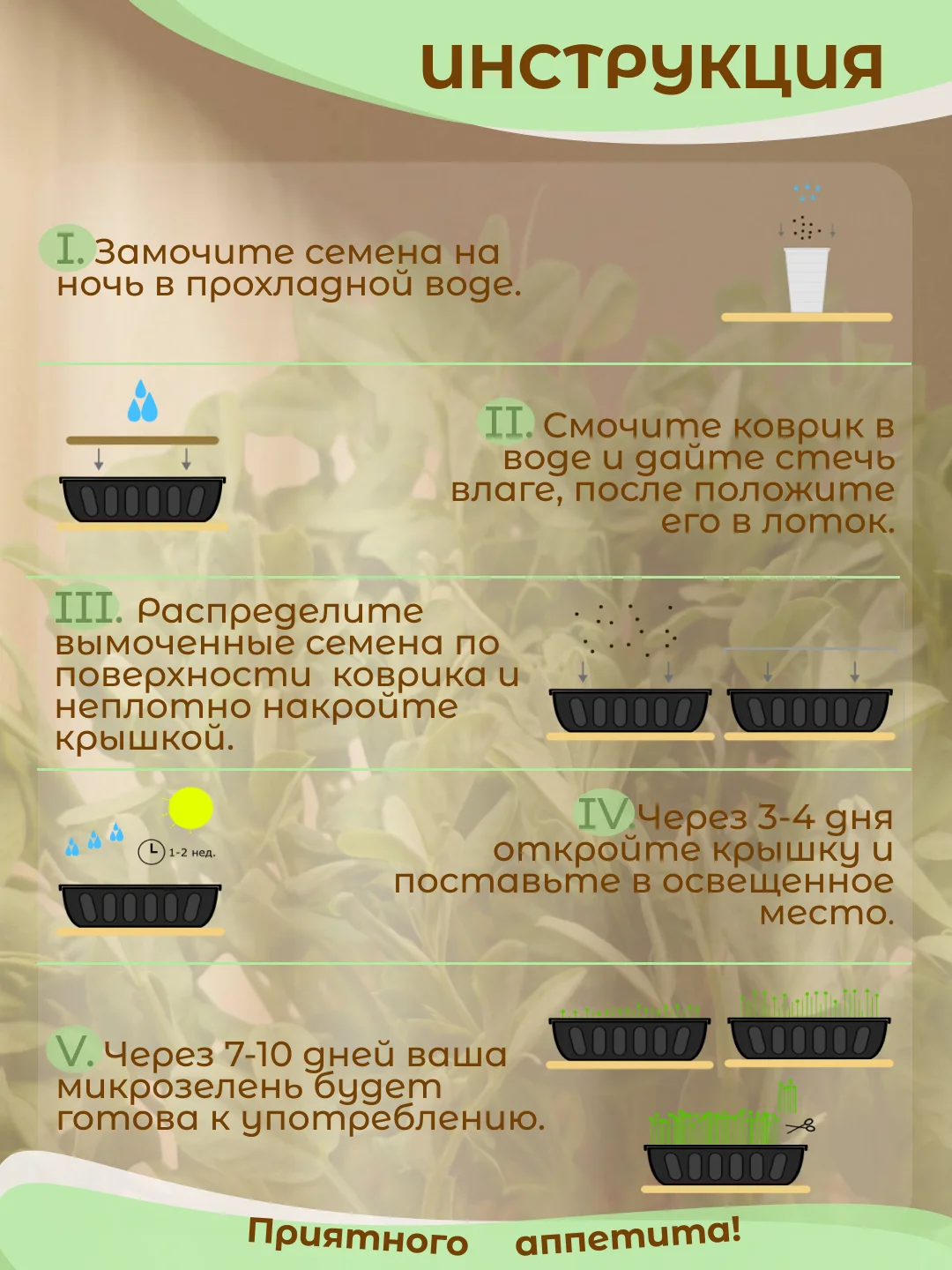 Коричневый набор для выращивания микрозелени: Подсолнечник, Горох Мадрас, Горох Листовой