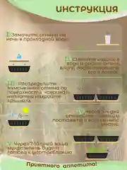 Зеленый набор для выращивания микрозелени: Подсолнечник, Горох Мадрас, Горох Листовой