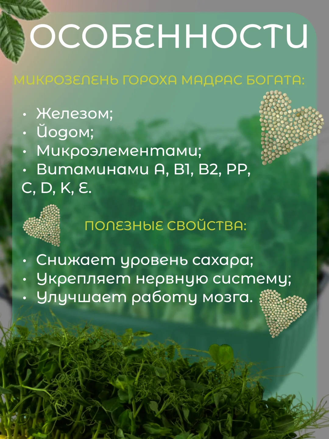 Зеленый набор для выращивания микрозелени: Подсолнечник, Горох Мадрас, Горох Листовой