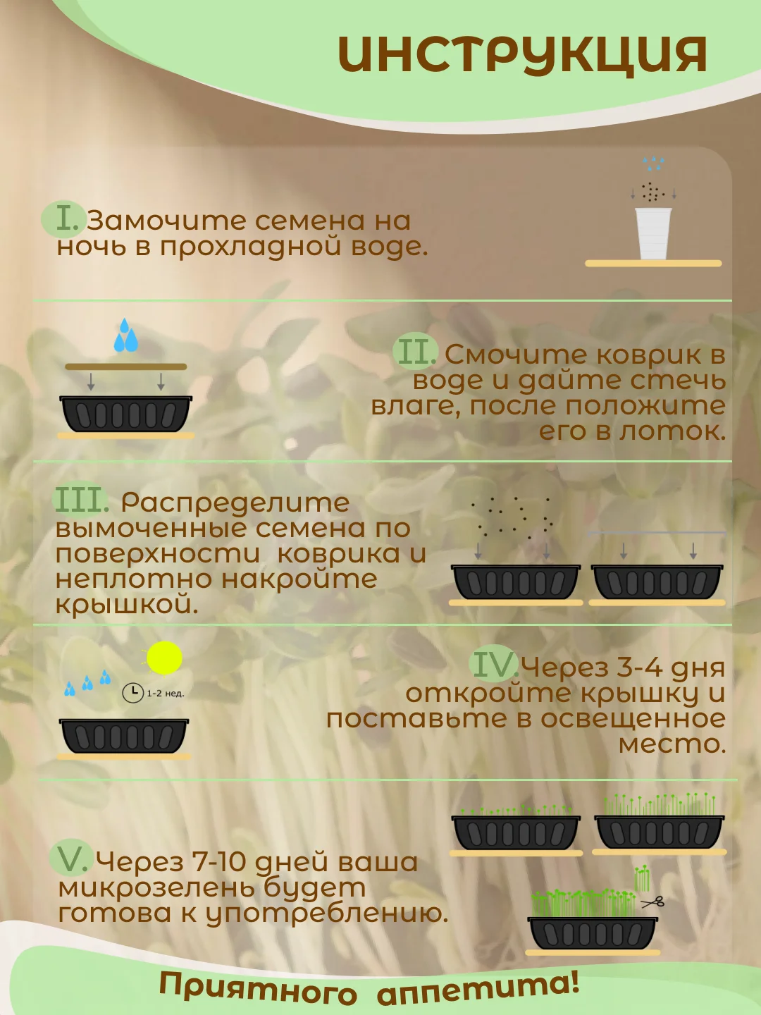 Черный набор для выращивания микрозелени: Подсолнечник, Горох Мадрас, Горох Листовой