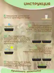 Черный набор для выращивания микрозелени: Подсолнечник, Горох Мадрас, Горох Листовой