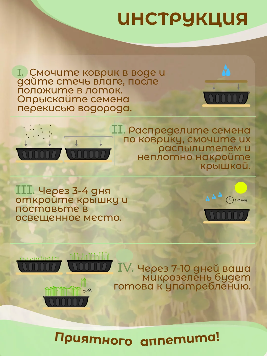 Лайм набор для выращивания микрозелени: Подсолнечник, Горох Мадрас, Горох Листовой