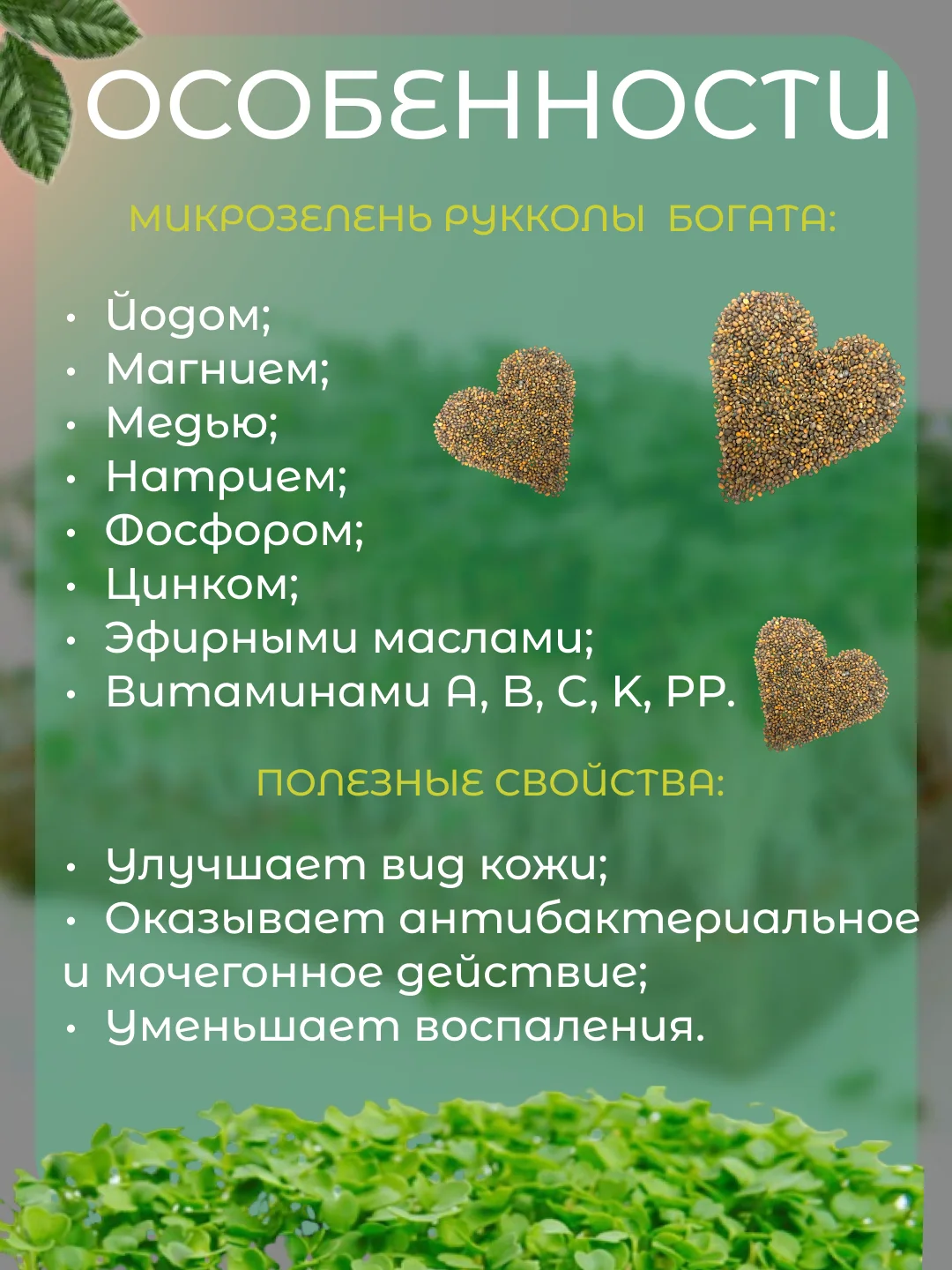 Лайм набор для выращивания микрозелени: Подсолнечник, Горох Мадрас, Горох Листовой