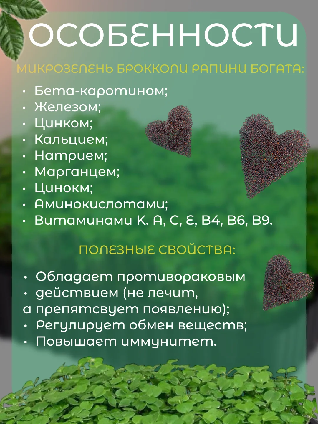 Белый набор для выращивания микрозелени: Подсолнечник, Горох Мадрас, Горох Листовой