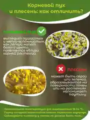 Белый набор для выращивания микрозелени: Подсолнечник, Горох Мадрас, Горох Листовой