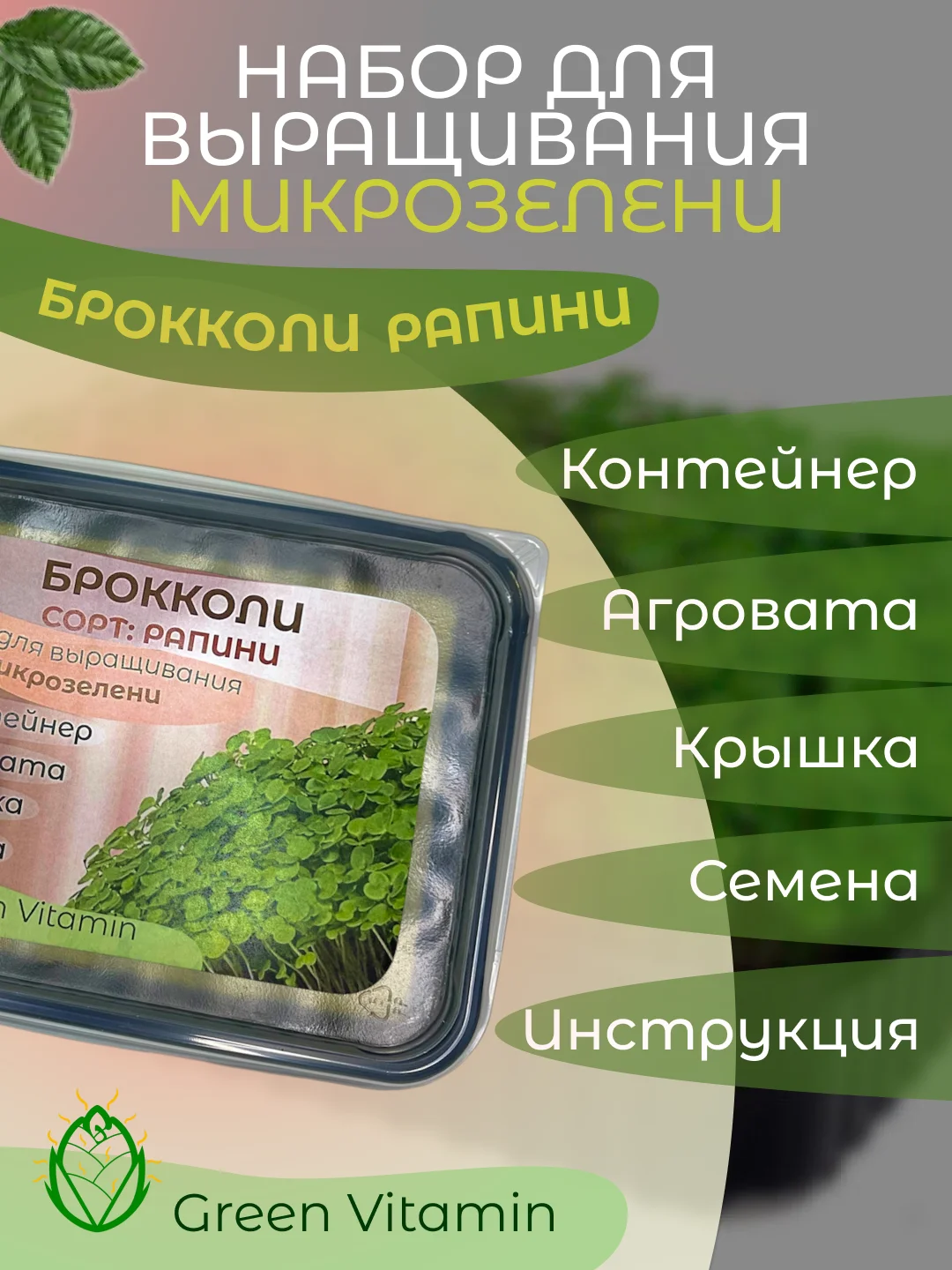Белый набор для выращивания микрозелени: Подсолнечник, Горох Мадрас, Горох Листовой