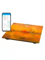 Красный умные диагностические весы с LED дисплеем STINGRAY ST-SC5002B Вид Венеции