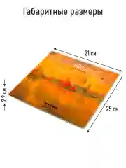 Красный умные диагностические весы с LED дисплеем STINGRAY ST-SC5002B Вид Венеции