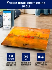 Умные диагностические весы с LED дисплеем STINGRAY ST-SC5002B Вид Венеции