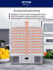 Прозрачный сушилка для овощей и фруктов STINGRAY ST-FD701A, дегидратор, белый жемчуг