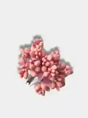 Коралловый букет тычинки на веточке с блестками, искусственные цветочки