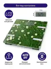 Зеленый умные диагностические весы LUMME LU-1333 ромашковое поле