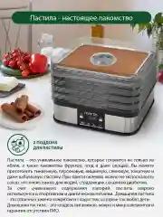 Черный электросушилка MARTA MT-FD1887D 10 поддонов (8 для сушки ягод, 2 для пастилы)черный жемчуг