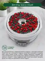 Белый сушилка для овощей и фруктов MARTA MT-FD1888B электронный контроль температуры