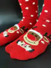 Коралловый новогодние носки мужские, женские "Дерзкий Санта", носки в подарок