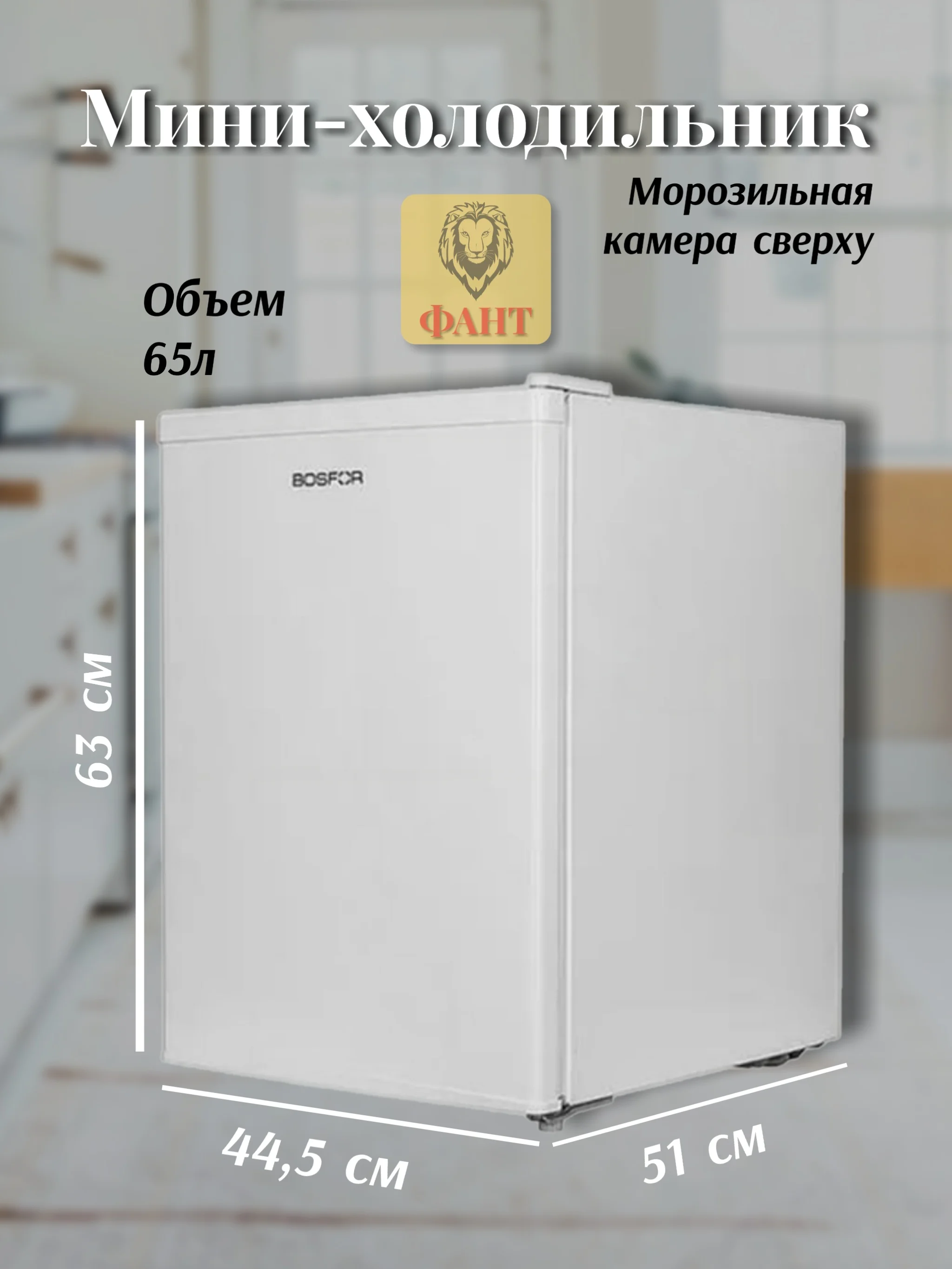 Мини-холодильник BOSFOR RF 063