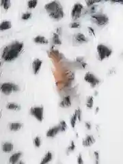 Белый пальто, экошуба облегченная оверсайз