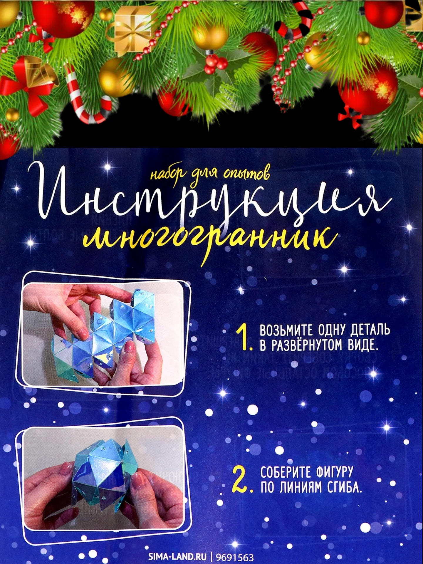 Синий набор для опытов Новогодняя гирлянда. Многогранник, 10 ламп, 1 режим, белый свет, 220 В