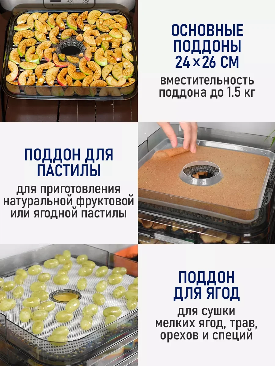 Серебряный электросушилка STINGRAY ST-FD722A 6 поддонов (4 + 1 для сушки ягод + 1 для пастилы) черный