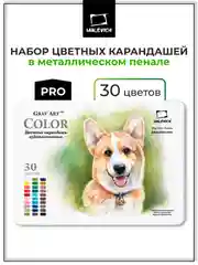 Набор профессиональных цветных карандашей Малевичъ GrafArt PRO, 30 цветов,
