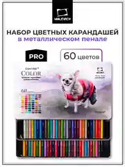 Набор профессиональных цветных карандашей Малевичъ GrafArt PRO, 60 цветов,