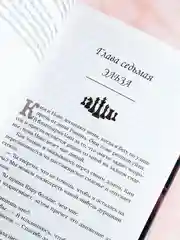 Книга АСТ Стальная принцесса