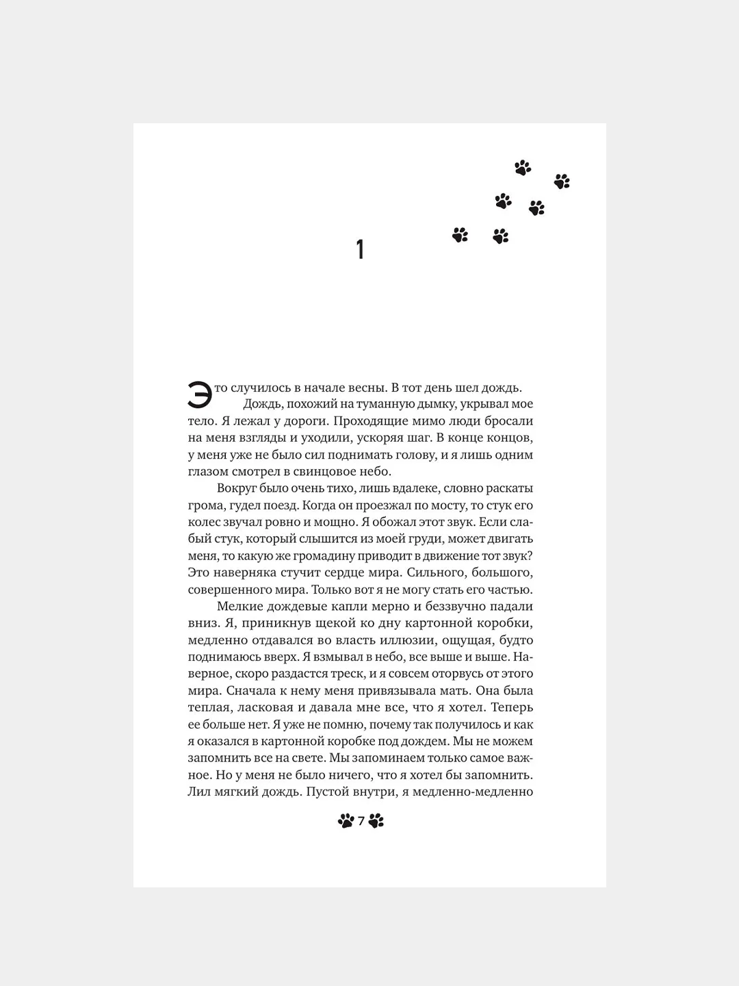 Книга АСТ Она и ее кот