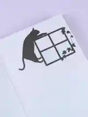Книга АСТ Она и ее кот