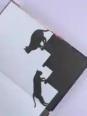 Книга АСТ Она и ее кот