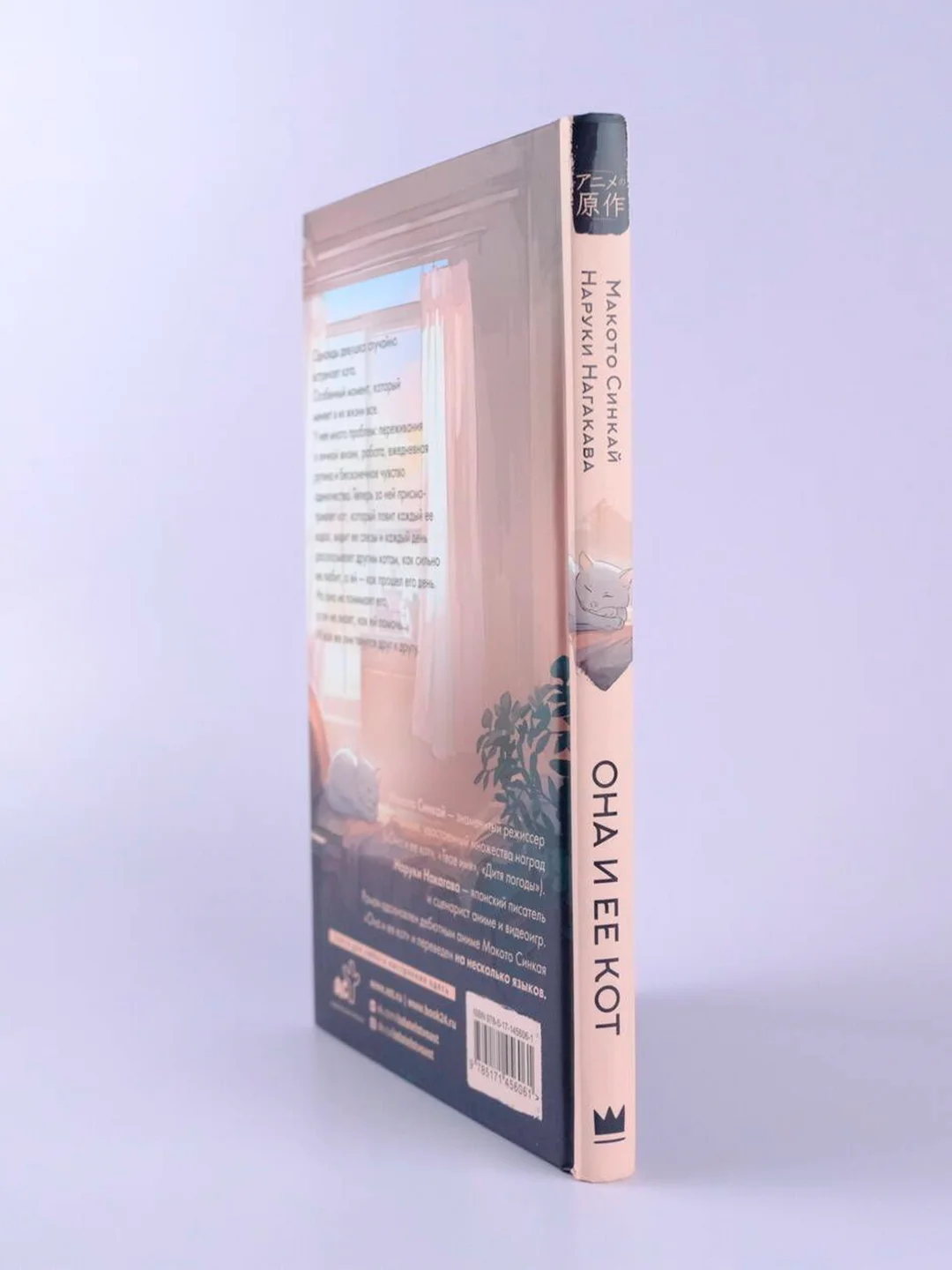 Книга АСТ Она и ее кот