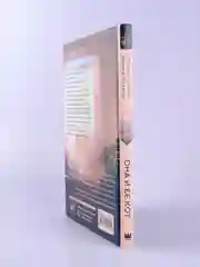 Книга АСТ Она и ее кот