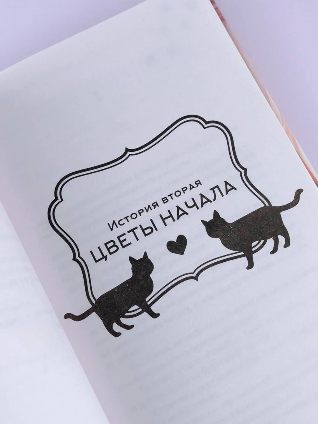Книга АСТ Она и ее кот