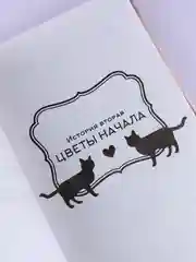 Книга АСТ Она и ее кот