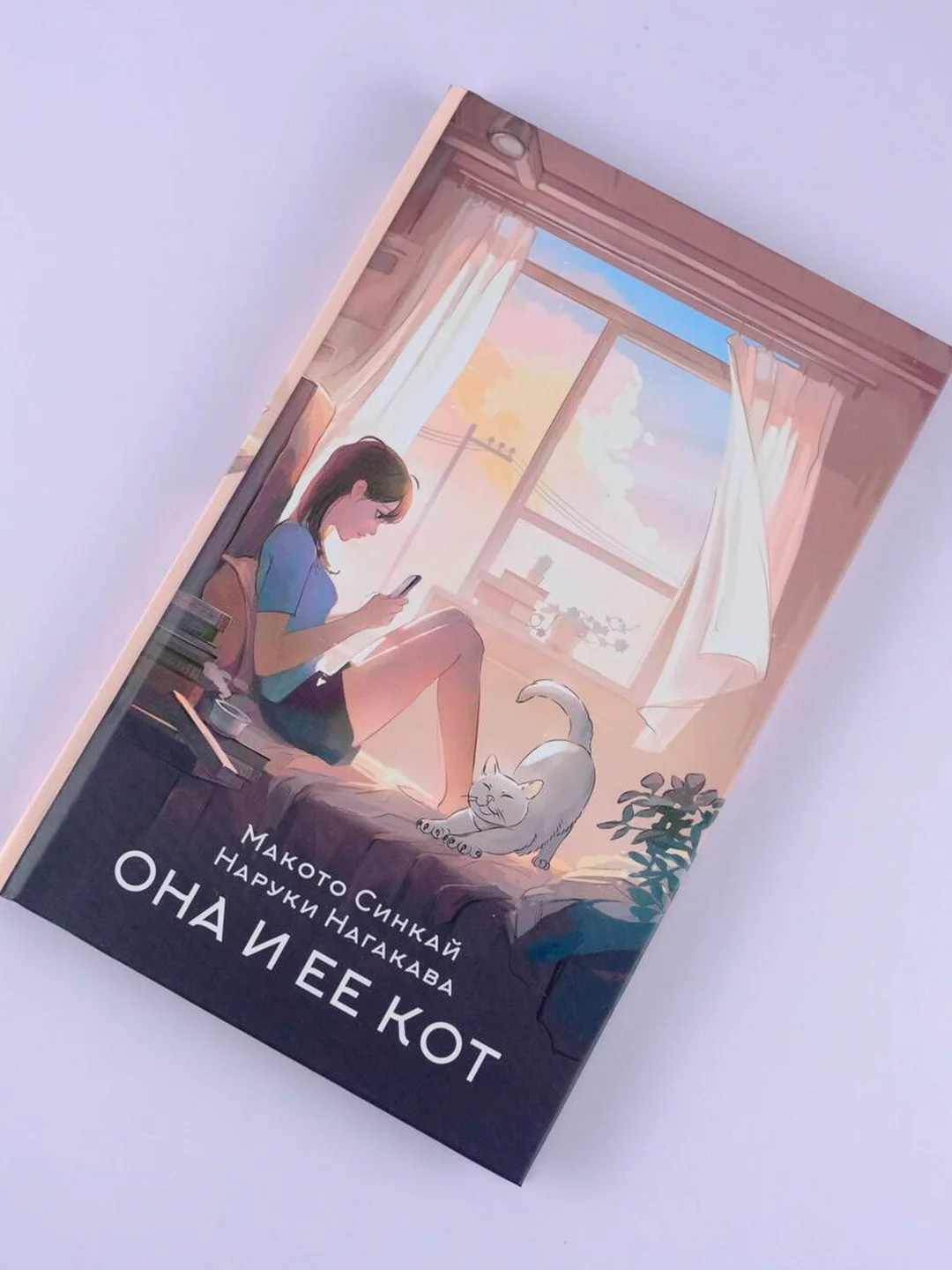 Книга АСТ Она и ее кот