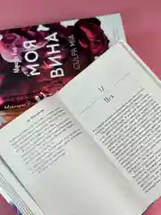 Книга АСТ Наша вина