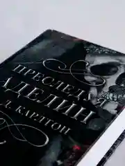 Книга АСТ Преследуя Аделин