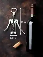 Серебряный штопор