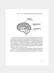 Книга АСТ Корсет не выход, шпагат не панацея. Мягкий способ получить подтянутое тело.