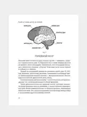 Книга АСТ Корсет не выход, шпагат не панацея. Мягкий способ получить подтянутое тело.