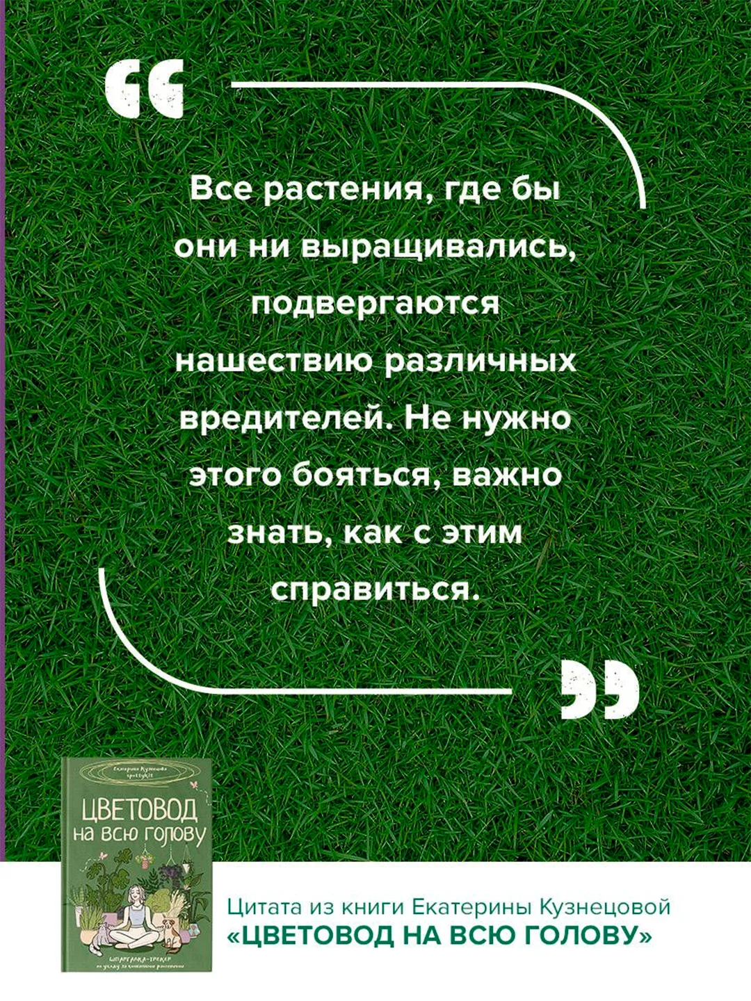 Книга АСТ Цветовод на всю голову. Шпаргалка-трекер по уходу за комнатными растениями