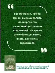 Книга АСТ Цветовод на всю голову. Шпаргалка-трекер по уходу за комнатными растениями