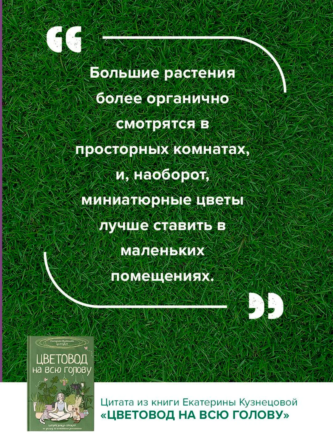 Книга АСТ Цветовод на всю голову. Шпаргалка-трекер по уходу за комнатными растениями