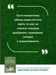 Книга АСТ Цветовод на всю голову. Шпаргалка-трекер по уходу за комнатными растениями