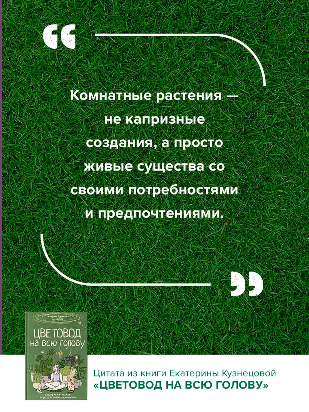 Книга АСТ Цветовод на всю голову. Шпаргалка-трекер по уходу за комнатными растениями